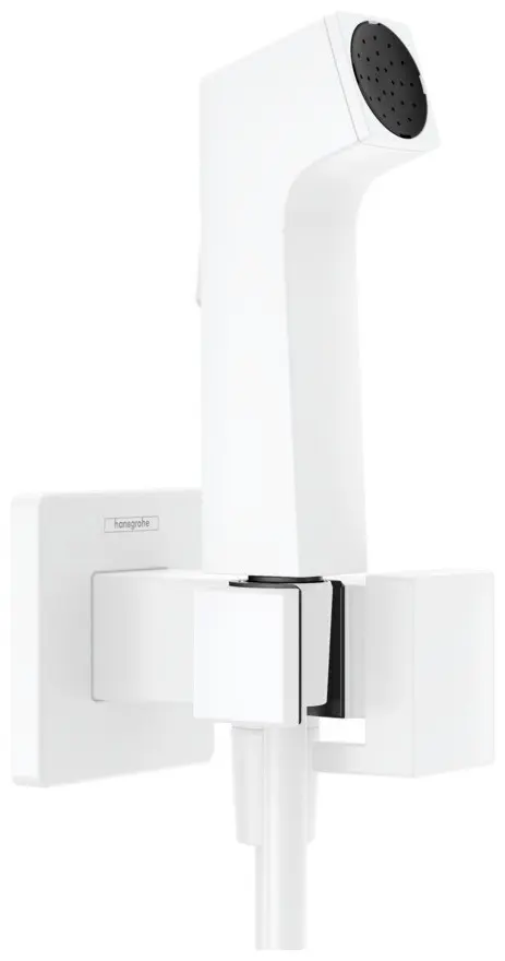 Hansgrohe ручной душ (лейка+шланг) 29233700 купить,NaN