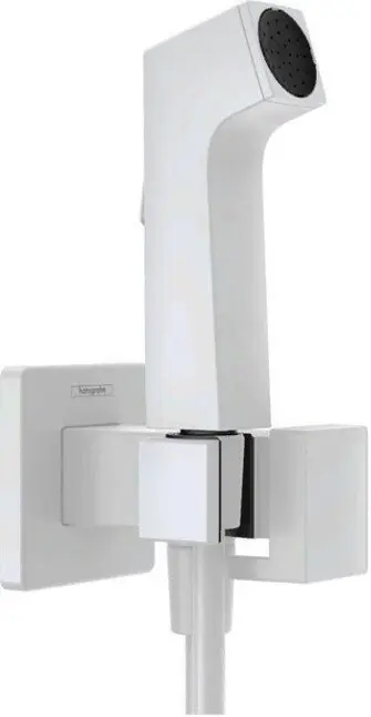 Hansgrohe ручной душ (лейка+шланг) 29233700 купить,NaN