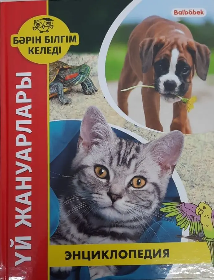 Книга Калугина Л.: Бәрін білгім келеді. ҮЙ ЖАНУАРЛАРЫ Энциклопедия купить,NaN