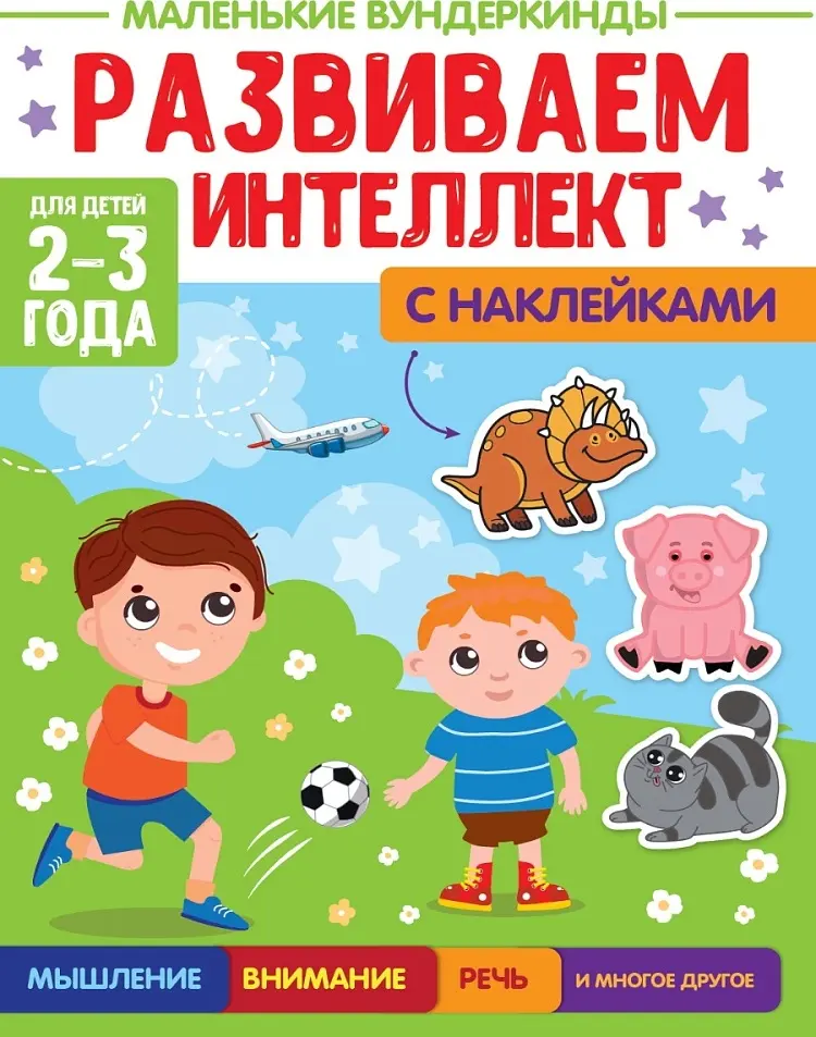 Книга Маленькие вундеркинды. Развиваем интеллекст купить,NaN