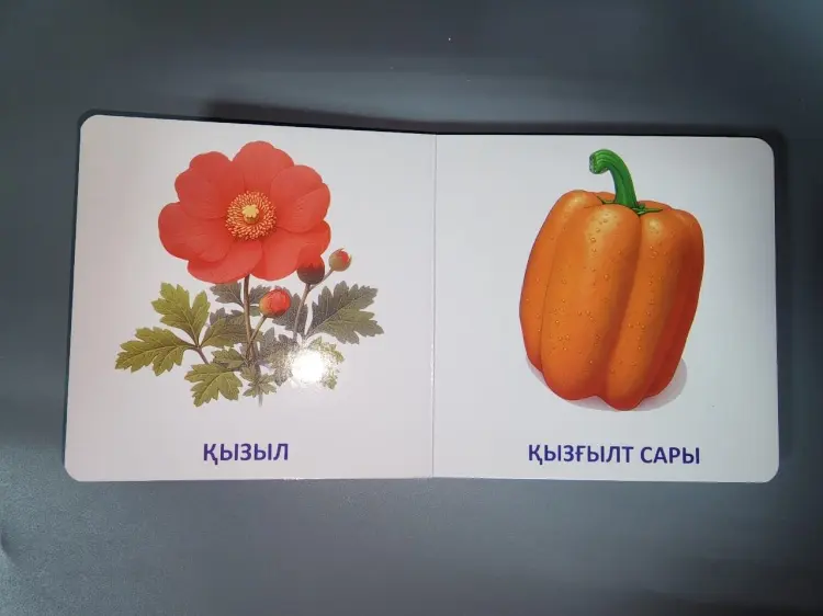 Книга Без автора: Табиғаттағы түстер купить,NaN
