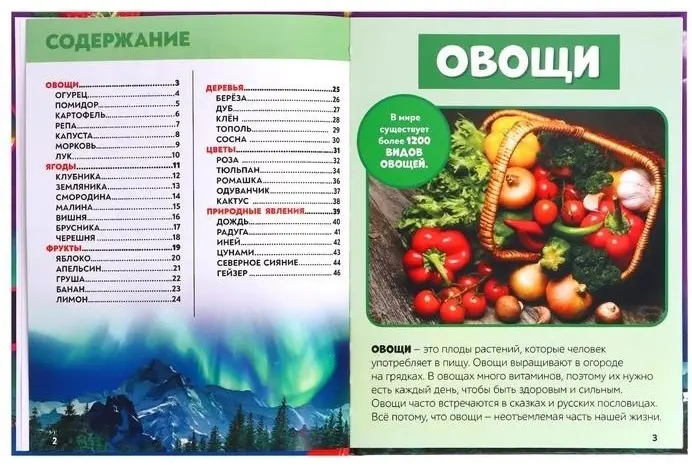 Книга Лядова А.: Фотоэнциклопедия для детей. Мир вокруг нас купить,NaN