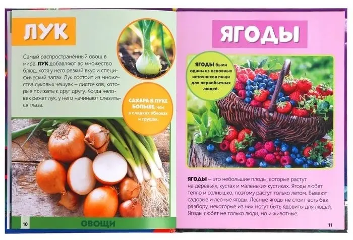 Книга Лядова А.: Фотоэнциклопедия для детей. Мир вокруг нас купить,NaN