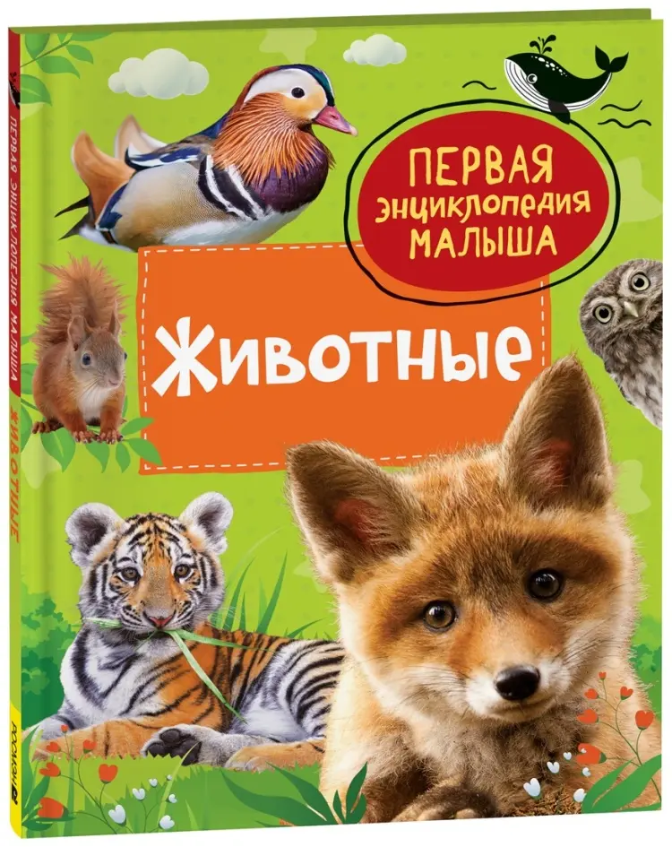 Книга Попова Лариса Александровна: Животные. Первая энциклопедия малыша. купить,NaN