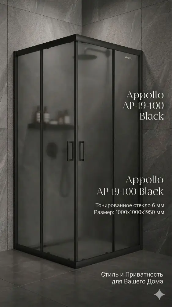 Душевое ограждение Appollo двухстенное White House AP-19-100 Black с тонированным стеклом 6 мм, 1000х1950 мм