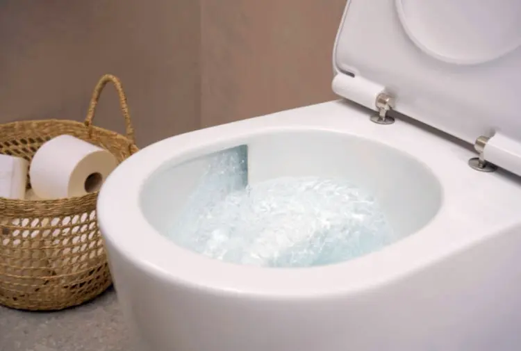 Hansgrohe унитаз EluPura S 60344450 Tornado, керамика