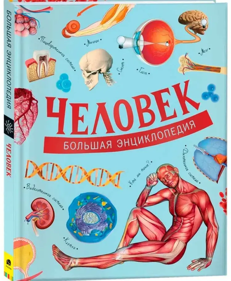 Книга Без автора: Человек. Большая энциклопедия - ForteMarket Книга Без автора: Человек. Большая энциклопедия купить,NaN