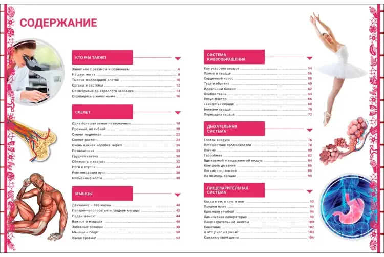Книга Без автора: Человек. Большая энциклопедия - ForteMarket Книга Без автора: Человек. Большая энциклопедия купить,NaN