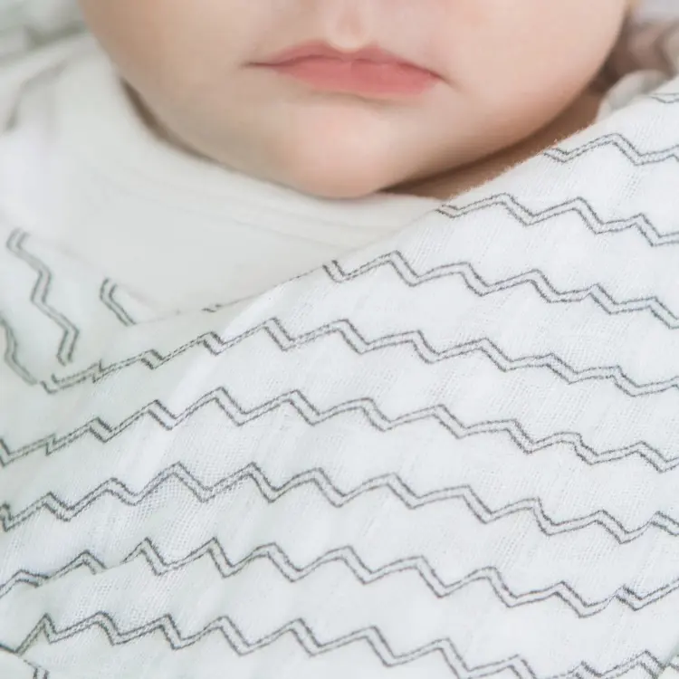 Пеленка текстильная Swaddle Designs Set SDM-2149B, 4 шт, 118x118 см купить,NaN