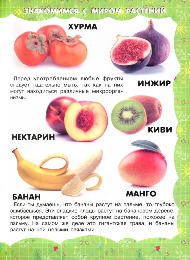 Книга Харвест: Живая природа купить,NaN