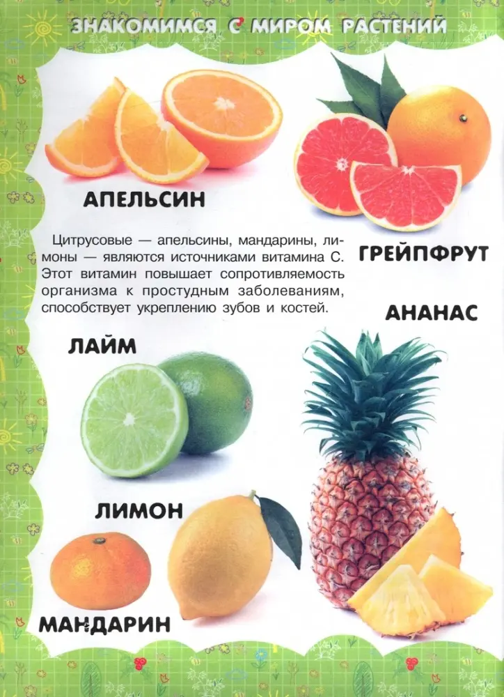 Книга Харвест: Живая природа купить,NaN