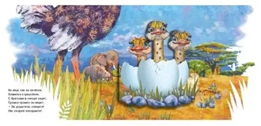 Книга Чудо-страусенок купить,NaN