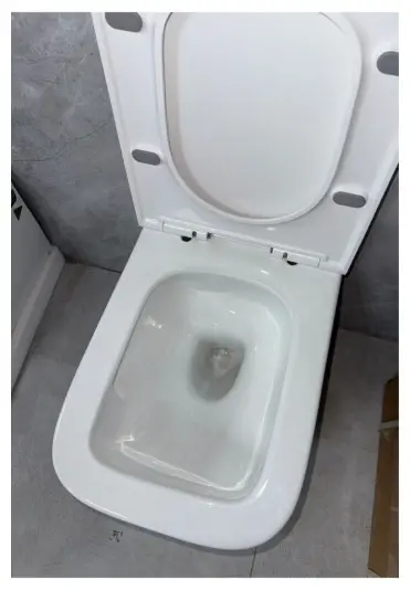 Grohe унитаз с инсталляцией Rapid SL 38772001+37131000+Harmony, санкерамика - ForteMarket Grohe унитаз с инсталляцией Rapid SL 38772001+37131000+Harmony, санкерамика купить,NaN