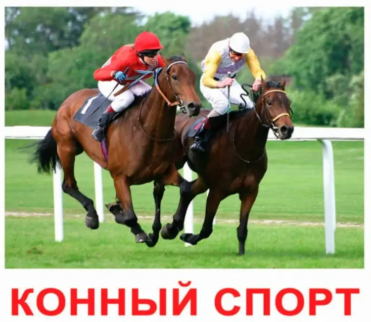Обучающие карточки Вундеркинд с пелёнок. Спорт, А5, картон купить,NaN