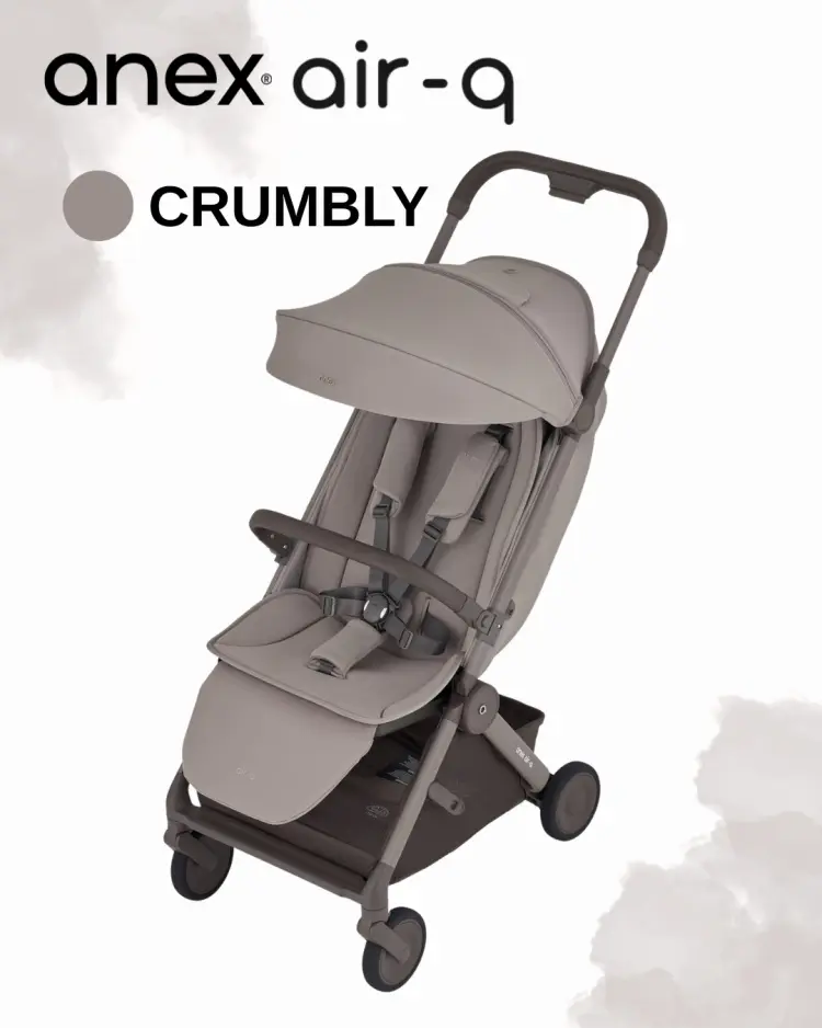 Коляска прогулочная Anex Air-q Crumbly, серый купить,205900