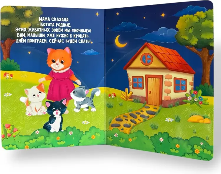 Книга Шванева К.: Книжка-картонка. Кто не спит ночью! купить,NaN