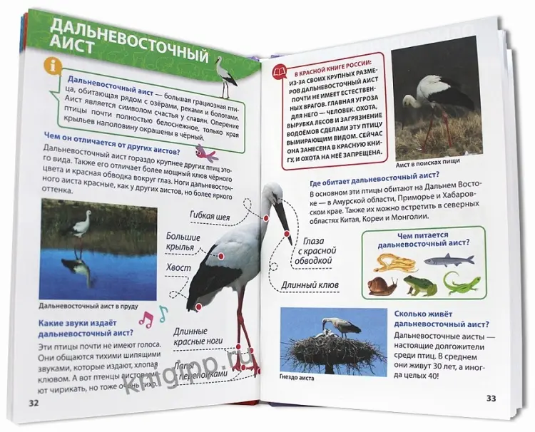 Книга Без автора: Энциклопедия для маленьких почемучек. Красная книга купить,NaN
