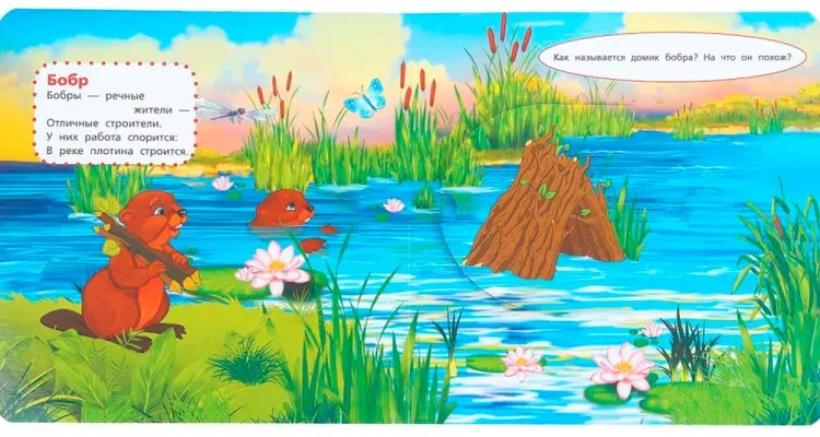 Книга Без автора: Книга детская Степанов В.А. Тактил с окошками купить,NaN