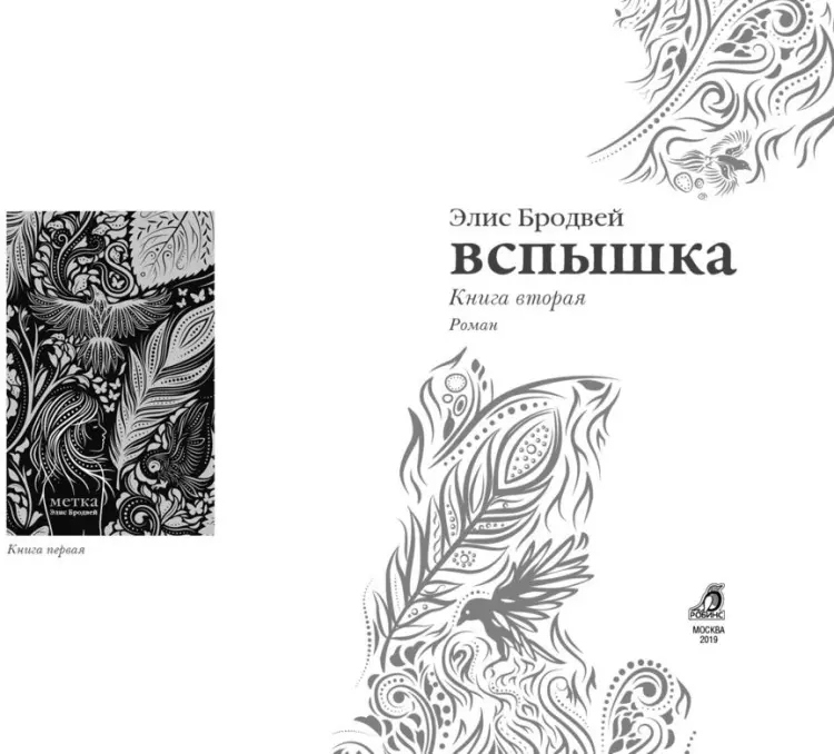 Книга Бродвей Э.: Вспышка купить,NaN