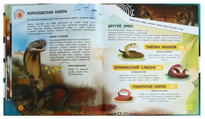 Книга Знакомство с животными. Энциклопедия 4D в дополненной реальности купить,NaN