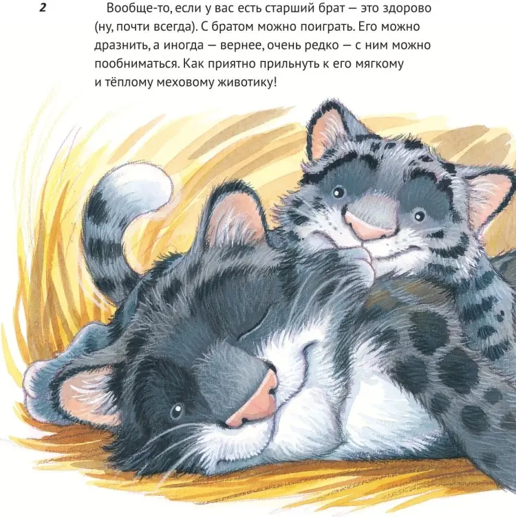 Книга Ховарт Х.: Почему я боюсь? купить,NaN