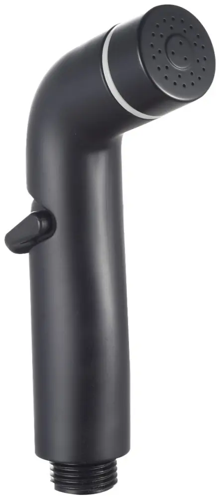 ESKO лейка для биде HHS200Black купить,30800