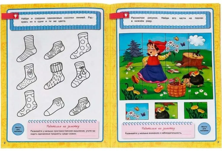 Книга Память, внимание, логика. Годовой курс купить,NaN