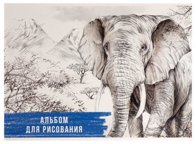 Альбом Calligrata 5666525 Слон A4 32 листа купить,NaN
