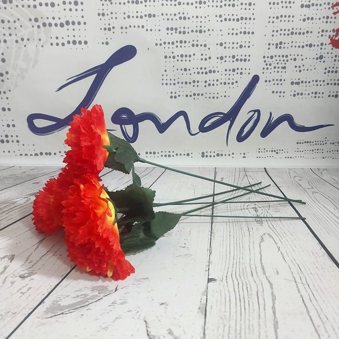 Букет гвоздика 25 см, 12855021_107584 купить,NaN