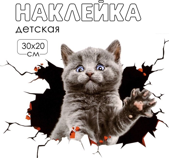 Наклейка интерьерная Take It Easy Котик в шоке, 10059178 30x20 см купить,NaN