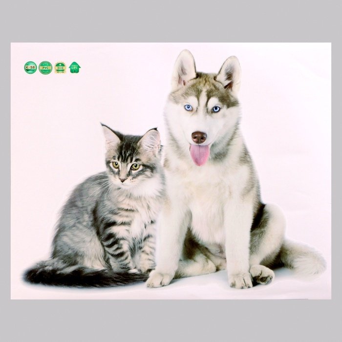 Наклейка интерьерная Take It Easy Домашние питомцы: кот и собака, 10059186 50x40 см купить,NaN