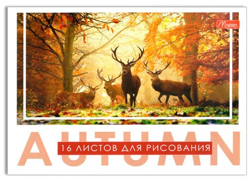 Альбом Magister 105796 A4 16 листов купить,NaN