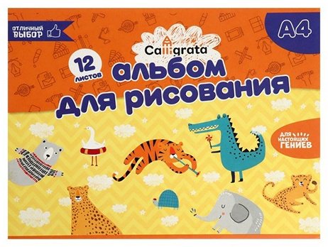 Альбом Calligrata 5666586 A4 12 листов купить,NaN