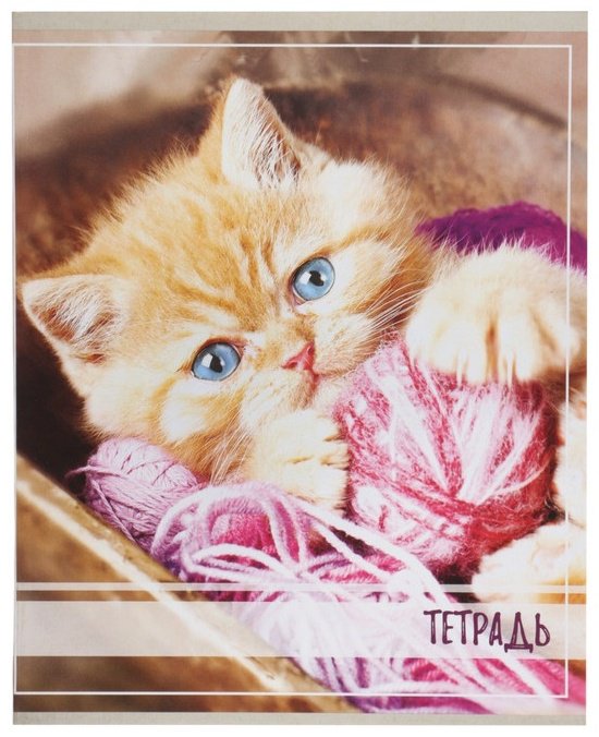 Набор общих тетрадей Calligrata Котята, 36 л, А5+, клетка, мягкая обложка, 5 шт купить,NaN