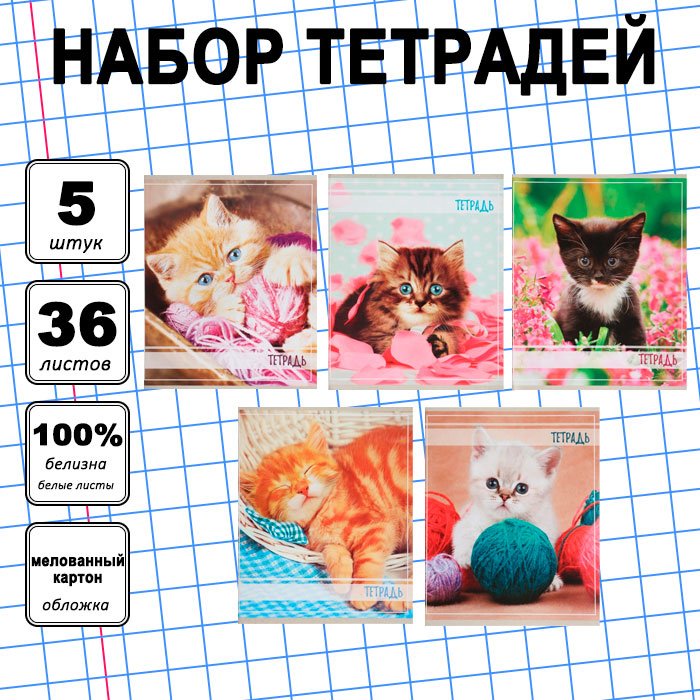 Набор общих тетрадей Calligrata Котята, 36 л, А5+, клетка, мягкая обложка, 5 шт купить,NaN