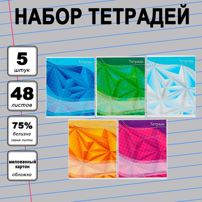 Набор общих тетрадей Calligrata Графика-2, 48 л, А5+, линейка, мягкая обложка, 5 шт купить,NaN