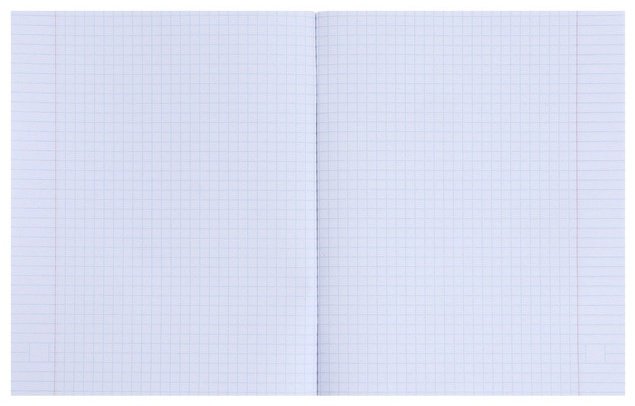 Набор общих тетрадей Calligrata Яркие цветы, 48 л, А5+, клетка, мягкая обложка, 5 шт купить,NaN