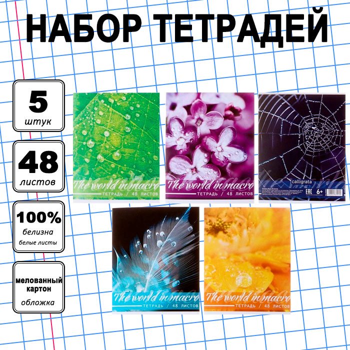 Набор общих тетрадей Calligrata Микромир, 48 л, А5+, клетка, мягкая обложка, 5 шт купить,NaN