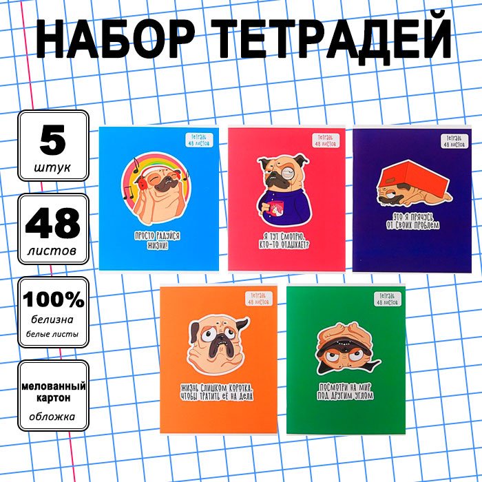 Набор общих тетрадей Calligrata Мопс, 48 л, А5+, клетка, мягкая обложка, 5 шт купить,NaN