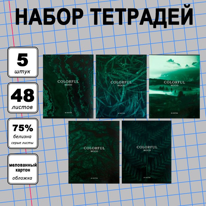 Набор общих тетрадей Calligrata Изумруд, 48 л, А5+, клетка, мягкая обложка, 5 шт купить,NaN