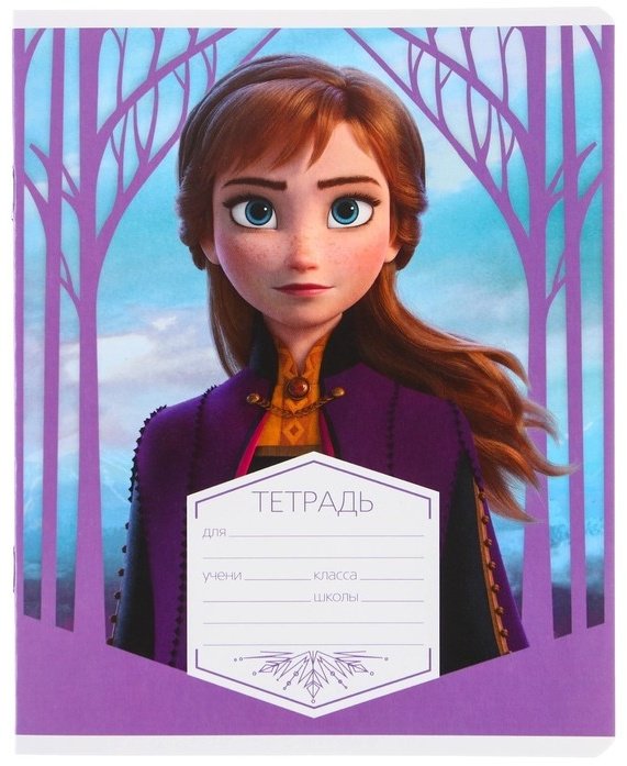 Набор школьных тетрадей Calligrata Холодное сердце, 12 л, А5, линейка, мягкая обложка, 5 шт купить,NaN