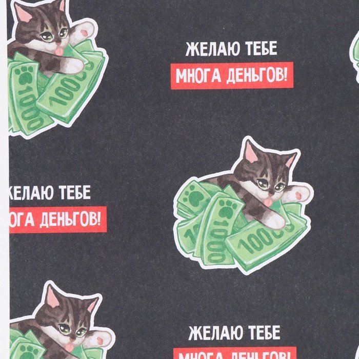 Бумага упаковочная Много денег Дарите Счастье 2 шт 70х50 см купить,NaN