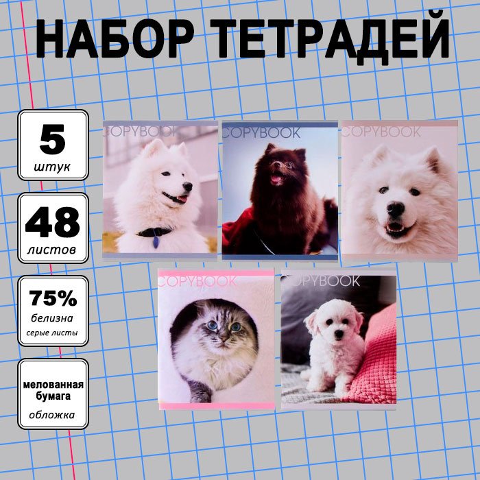 Набор общих тетрадей Calligrata Любимые питомцы, 48 л, А5+, клетка, мягкая обложка, 5 шт купить,NaN