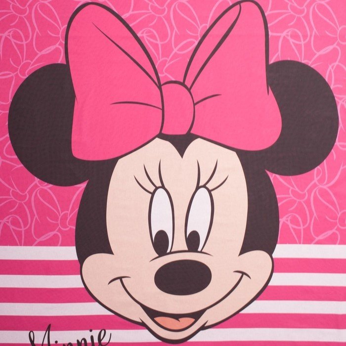 Комплект Disney 1.5-спальный поплин, : 50x70 см купить,NaN
