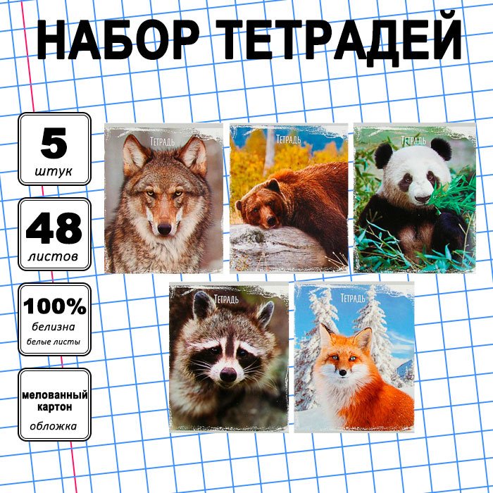 Набор общих тетрадей Calligrata Дикие животные, 48 л, А5+, клетка, мягкая обложка, 5 шт купить,NaN