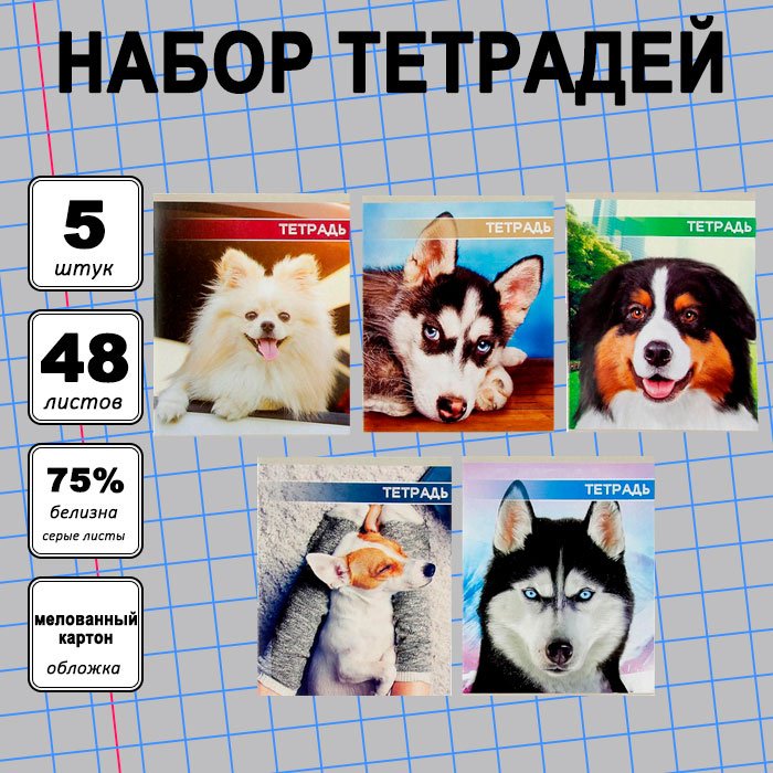 Набор общих тетрадей Calligrata Собачьи мордочки, 48 л, А5+, клетка, мягкая обложка, 5 шт купить,NaN
