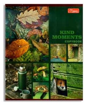 Тетрадь Magister Kind Moments TO96-KM, 96 листов, А5, разметка клетка, мягкая обложка купить,NaN