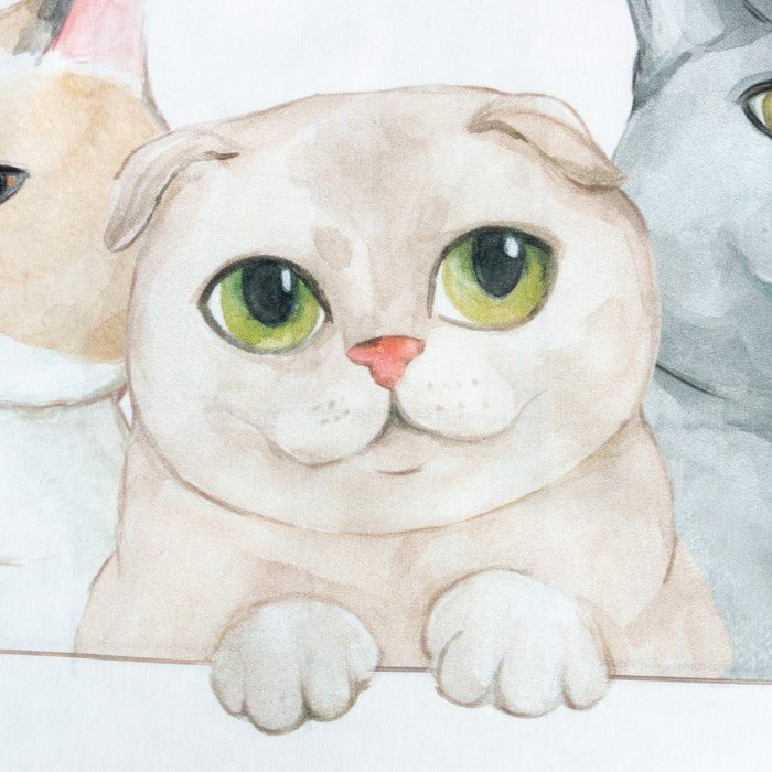 Комплект Этель Happy cats 1.5-спальный бязь, 1 наволочка: 50x70 см купить,NaN