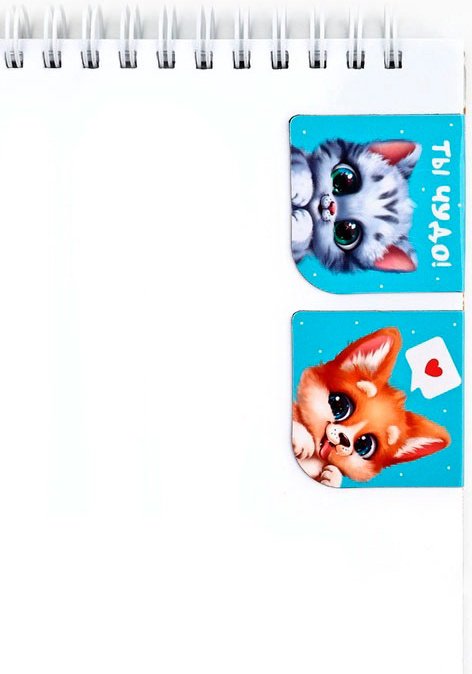 Закладки ArtFox Самой прекрасной 10731895, магнит, бумага, 2 шт купить,NaN