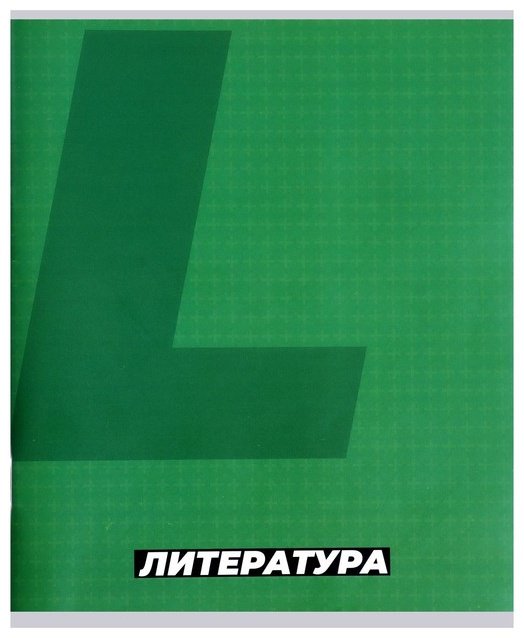 Набор предметных тетрадей Calligrata MonoTone. Английский язык + Литература + Русский язык, 36 л, А5+, комбинированная, мягкая обложка, 3 шт купить,NaN